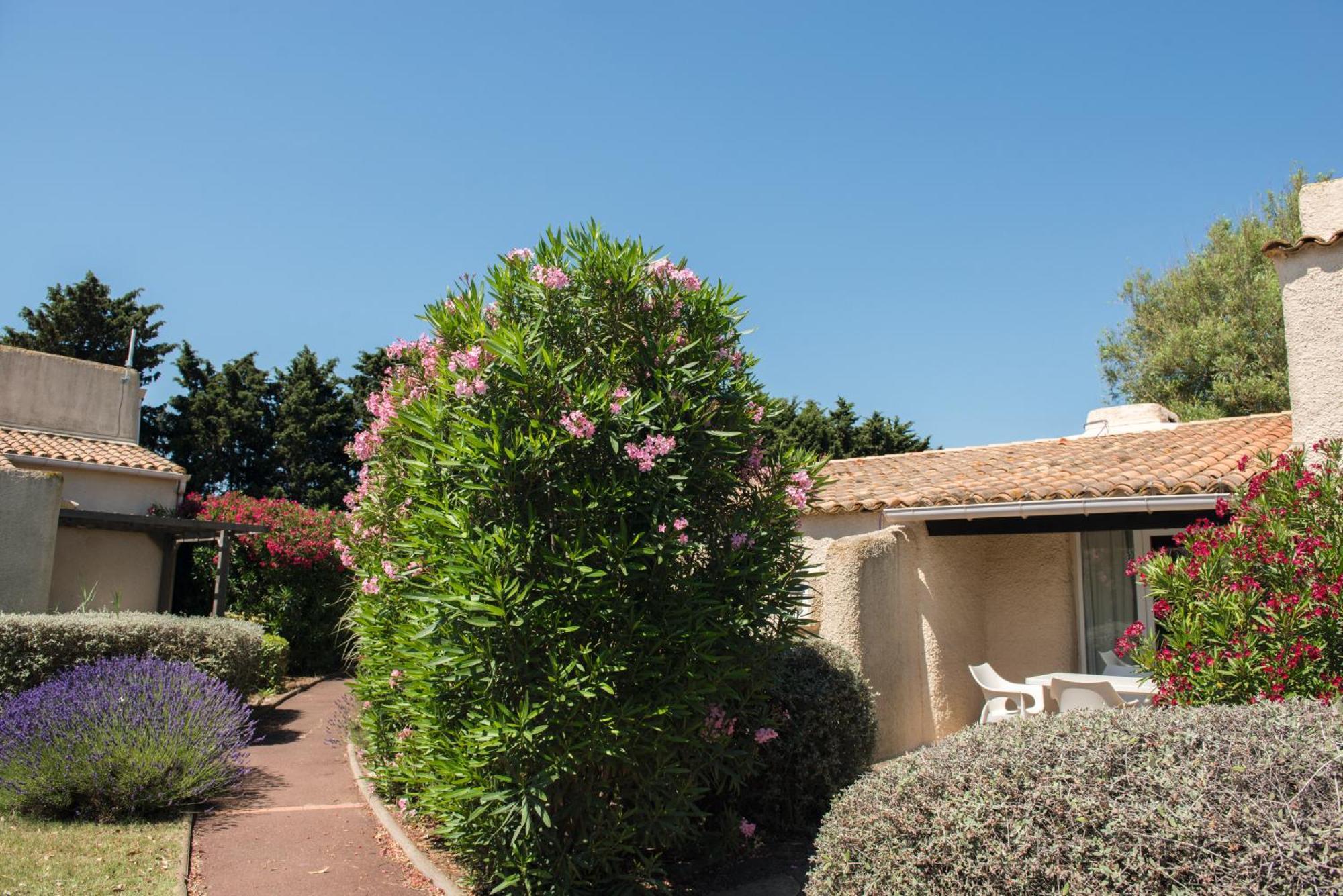 Sowell Family Cap D'Agde Otel Dış mekan fotoğraf